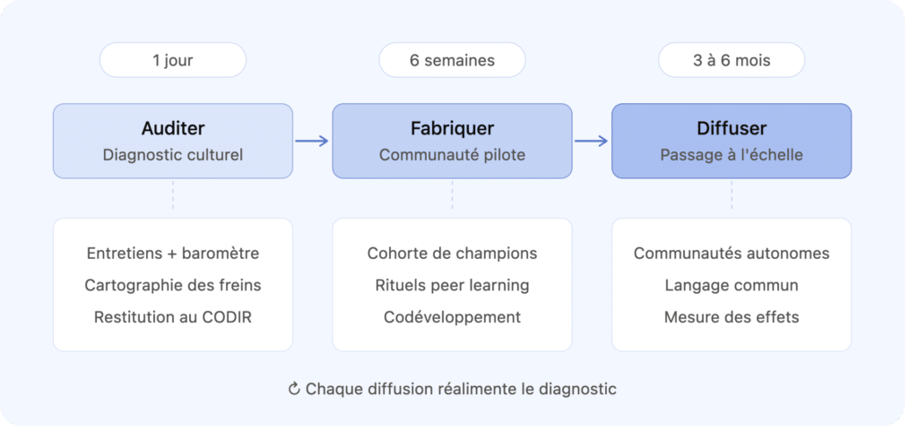 fabrique cultures apprenantes parcours couleurs mue
